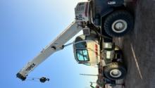 TEREX RT 230