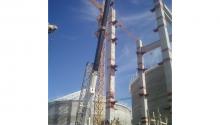 PLANTA DREYFUS